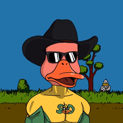 Duck #9960