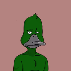 Duck #9419