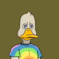 Duck #8704