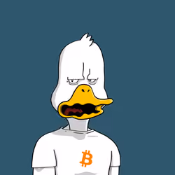 Duck #9539