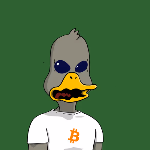 Nonconformistducks