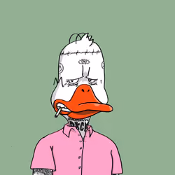 Duck #8615