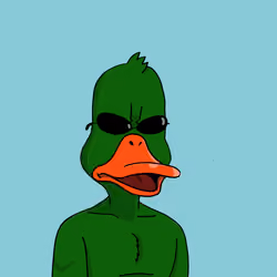 Duck #4310