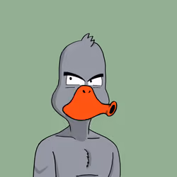 Duck #9773