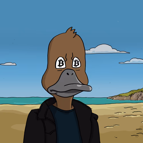 Duck #867