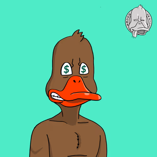Duck #537