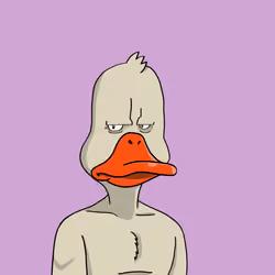 Duck #728