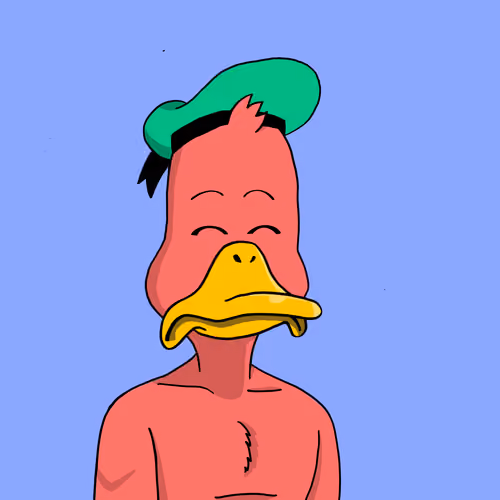 Duck #4347