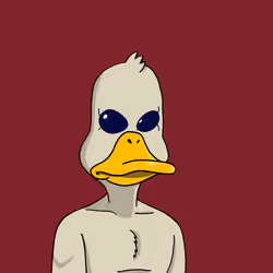 Duck #4577