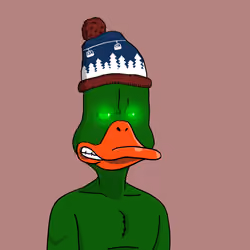 Duck #4145