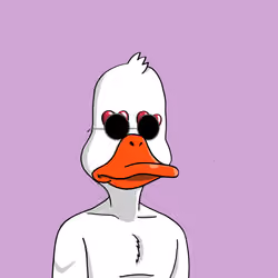 Duck #865