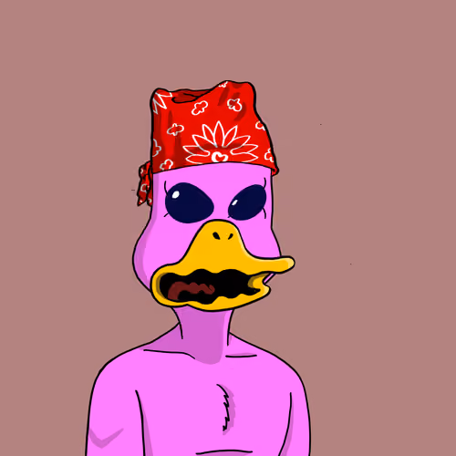 Duck #5057