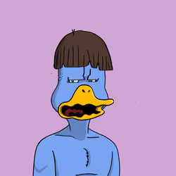 Duck #6801