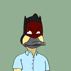 Duck #4229