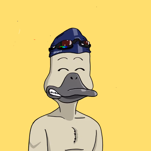 Duck #4903