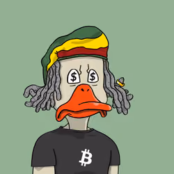 Duck #7625