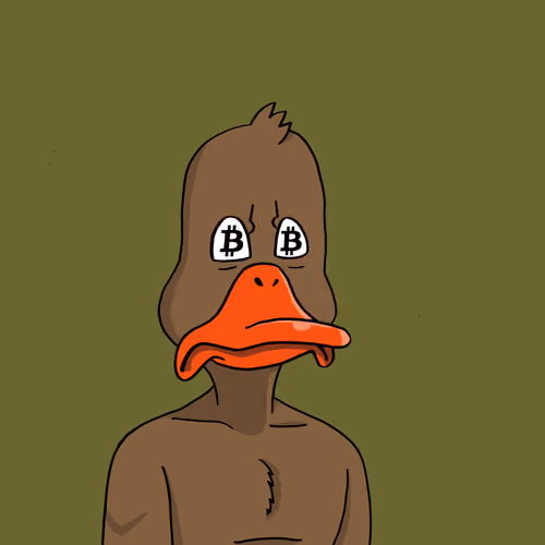 Duck #7503