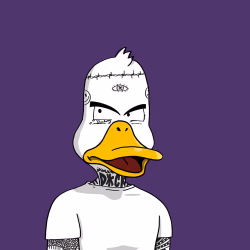 Duck #8559