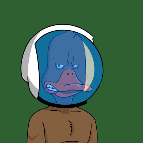 Duck #7527