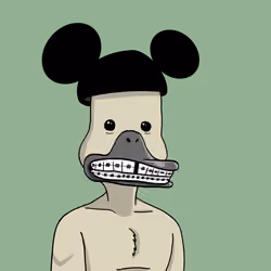Duck #5988