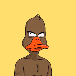 Duck #8196
