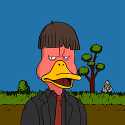 Duck #6617