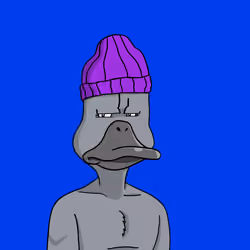 Duck #762