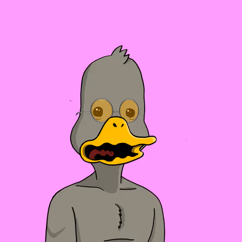 Duck #9637