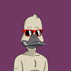Duck #6842