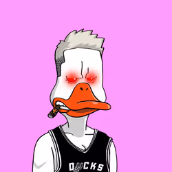 Duck #6902