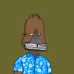 Duck #1008