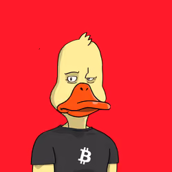 Duck #4325