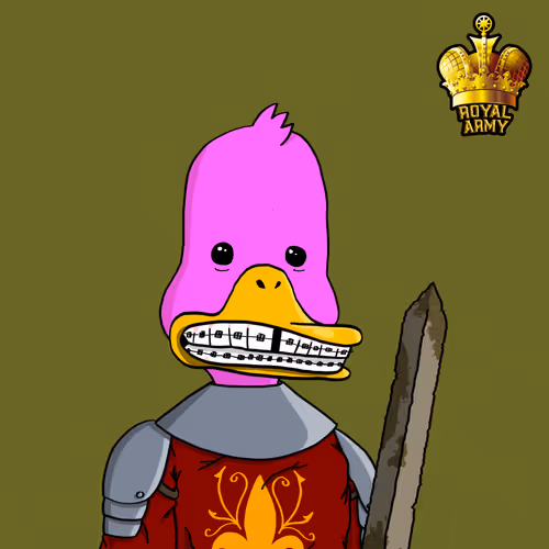 Duck #9113