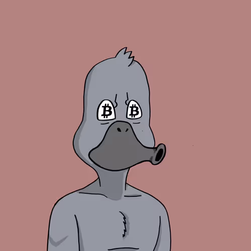 Nonconformistducks