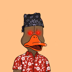 Duck #3164