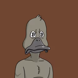 Duck #6115