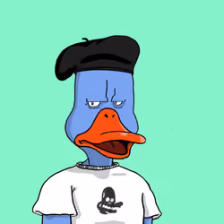 Duck #6802