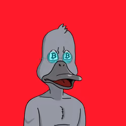 Duck #9685