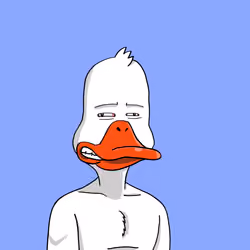 Duck #764