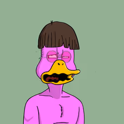 Duck #9043