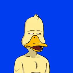 Duck #1177
