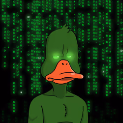 Duck #372
