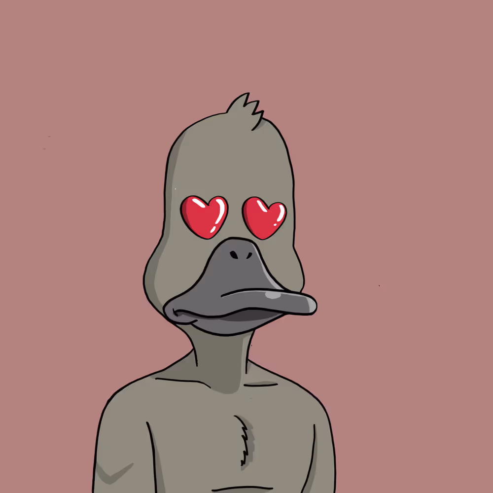 Duck #9997