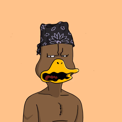 Duck #7719