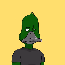 Duck #2209