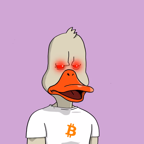 Duck #4071