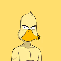 Duck #5085