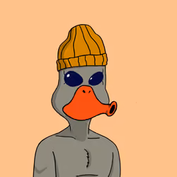 Duck #373