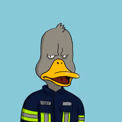 Duck #9828