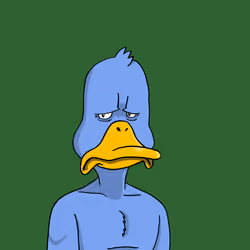 Duck #6127